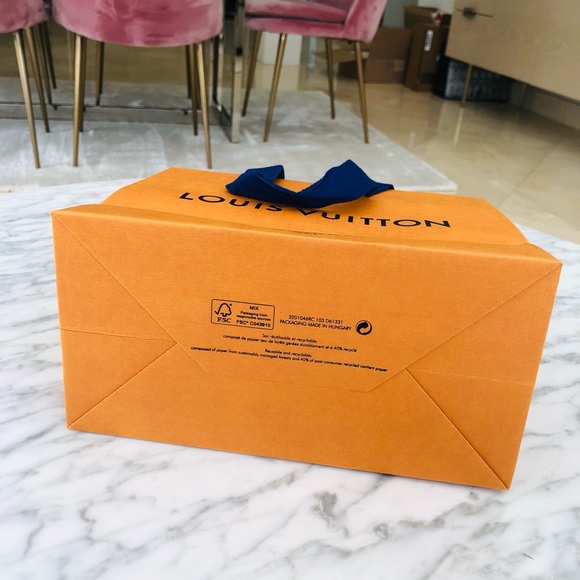 SOLD!!Louis Vuitton Paper Shopping Storage Gift Bag - Picture 6 of 6